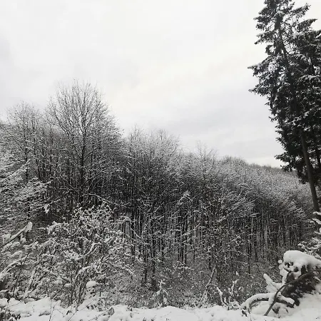 Rauszeit Sauerland Apartmán