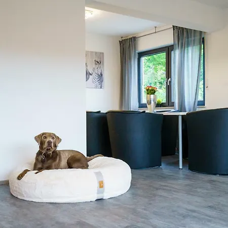 Apartment Rauszeit Sauerland Lennestadt