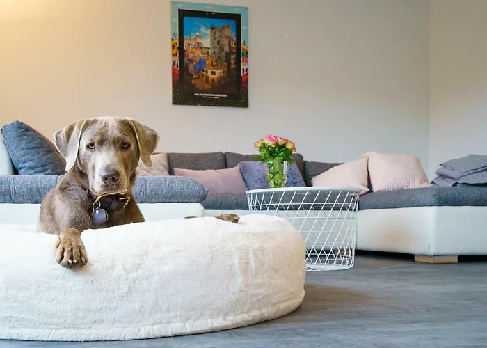 Appartamento Rauszeit Sauerland *